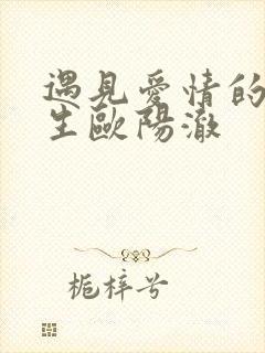遇见爱情的利先生欧阳澈