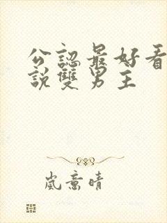 公认最好看的小说双男主