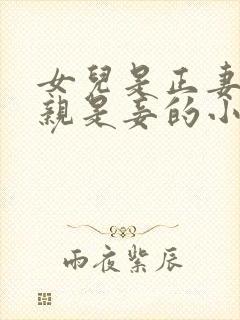 女儿是正妻,母亲是妾的小说推荐