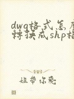 dwg格式怎么转换成shp格式