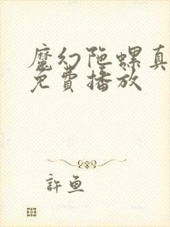 魔幻陀螺真人版免费播放