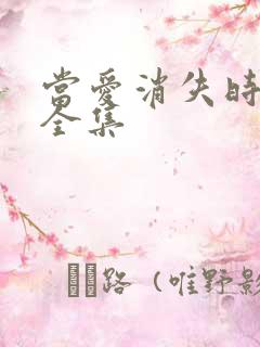 当爱消失时短剧全集