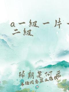 a一级一片一级二级