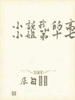 小说我的高冷大小姐第十七章