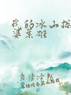 我的冰山总裁老婆叶雄