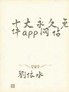 十大永久免费软件app网站