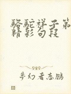 骆驼祥子第8章精彩句段