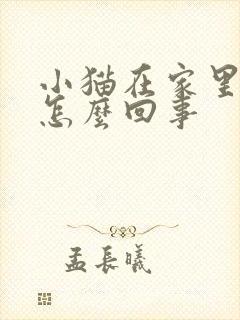 小猫在家里乱尿怎么回事