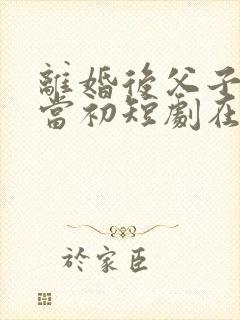 离婚后父子悔不当初短剧在线免费看