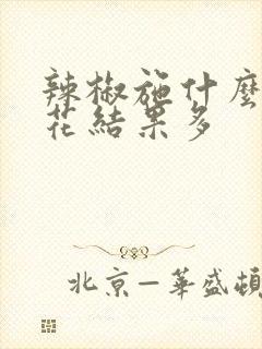 辣椒施什么肥开花结果多