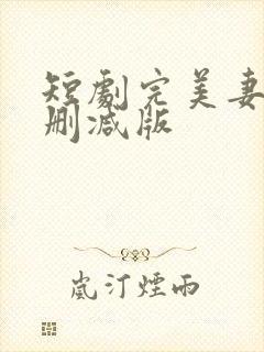 短剧完美妻子无删减版
