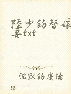 陆少的替嫁小娇妻txt