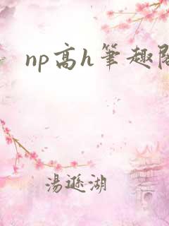 np高h笔趣阁