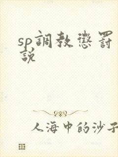 sp调教惩罚小说