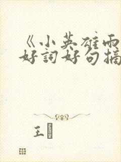 《小英雄雨来》好词好句摘抄及感悟