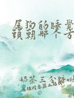 属狗的睡觉的床头朝哪个方向最好