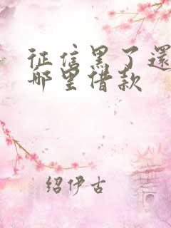 征信黑了还能在哪里借款