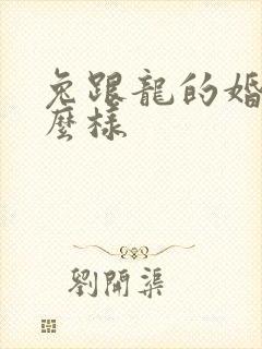 兔跟龙的婚姻怎么样