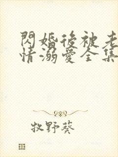 闪婚后被老公深情溺爱全集在线观看