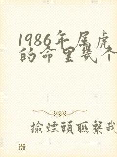 1986年属虎的命里几个儿子