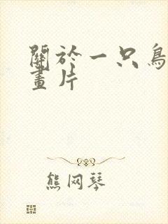 关于一只鸟的动画片