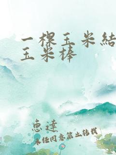 一棵玉米结几个玉米棒