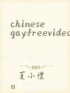 chinesegayfreevideos