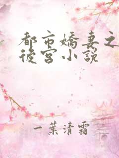 都市娇妻之美艳后宫小说