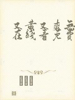 又黄又爽无遮挡在线看免费视频