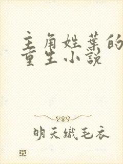 主角姓叶的末世重生小说