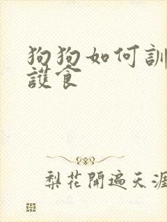 狗狗如何训练不护食