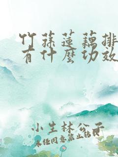 竹荪莲藕排骨汤有什么功效