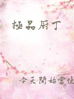 极品厨丁