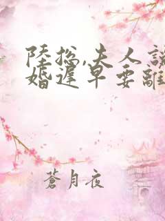 陆总,夫人说这婚迟早要离小说在线阅读