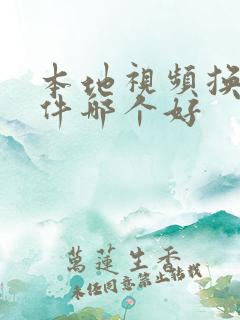本地视频换脸软件哪个好