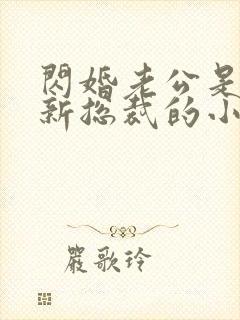 闪婚老公是公司新总裁的小说