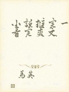小说推完一口气看完爽文