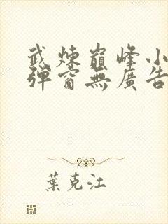 武炼巅峰小说无弹窗无广告