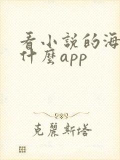 看小说的海棠是什么app