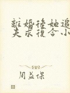 离婚后她追着前夫求复合小说