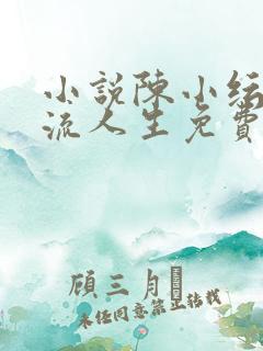 小说陈小纭的风流人生免费阅读