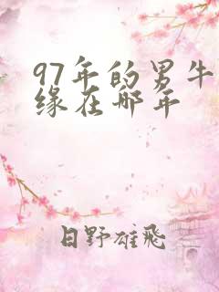 97年的男牛姻缘在哪年