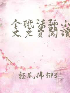 全职法师小说全文免费阅读无弹窗