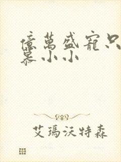 亿万盛宠只为你慕小小