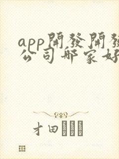 app开发开发公司哪家好