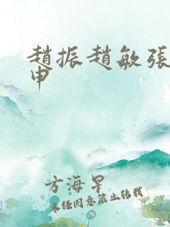 赵振赵敏张倩王申