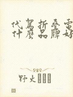 代驾折叠电动车什么品牌好