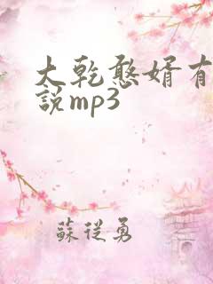 大乾憨婿有声小说mp3