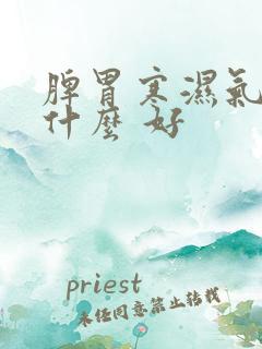 脾胃寒湿气重吃什么 好