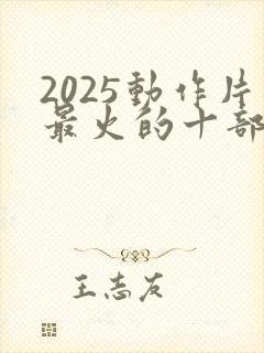 2025动作片最火的十部电影有哪些